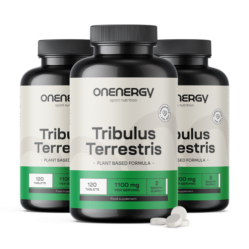 3x Τριβόλι (Tribulus) – εκχύλισμα 15:1, συνολικά 360 δισκία